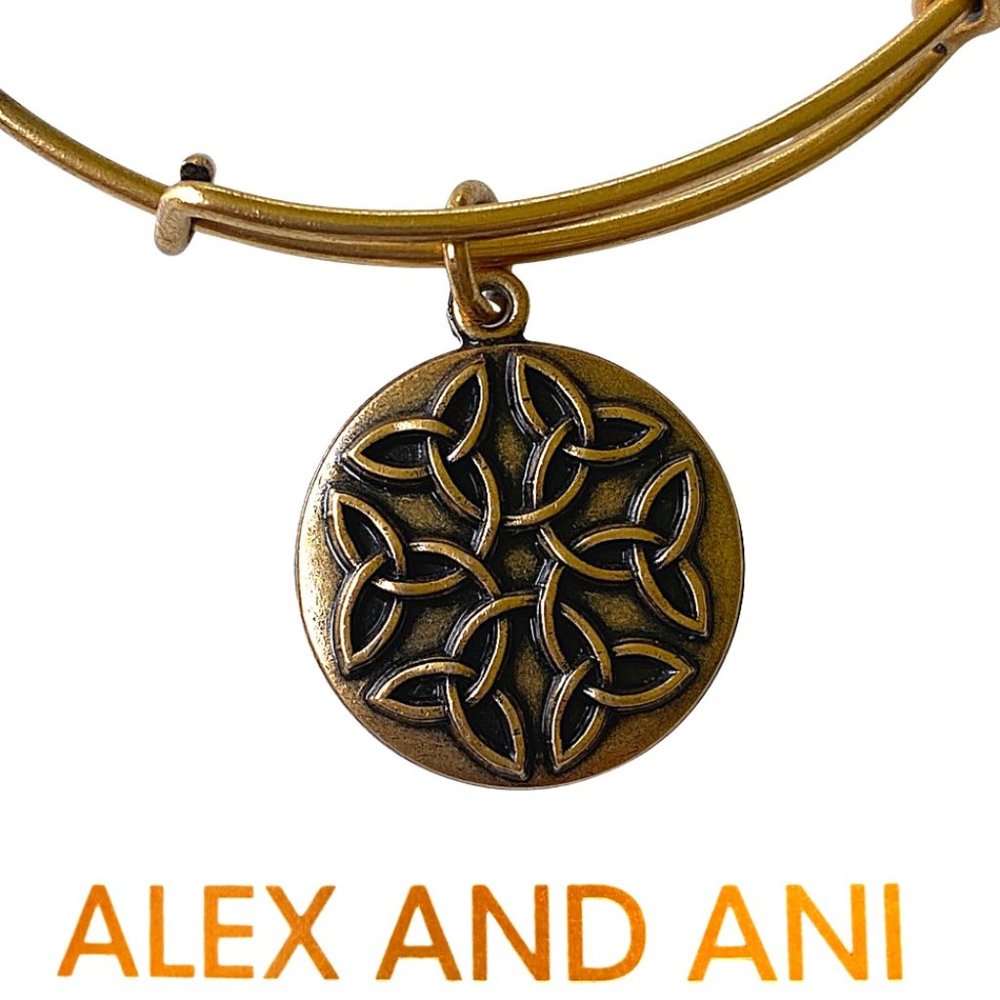 Alex and Ani Endless Knot Bangle Bracelet